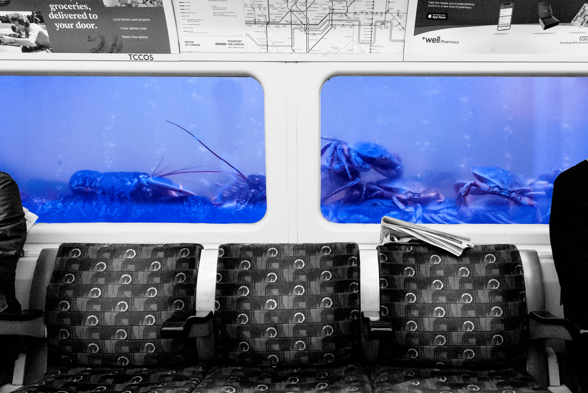 Crabby Commute London, Spring 2019