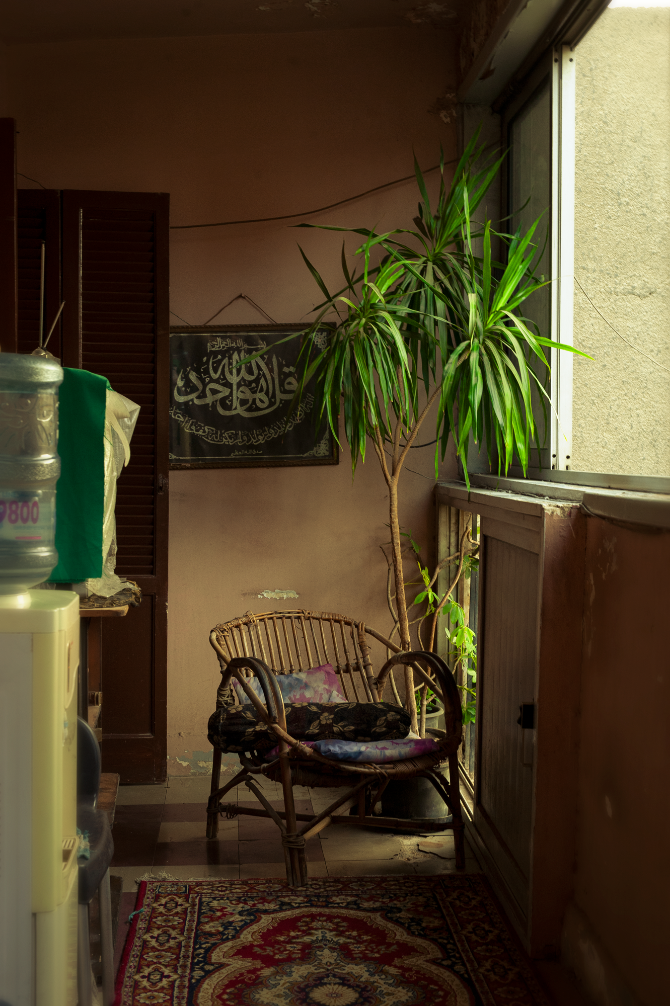Cairo, Summer 2019