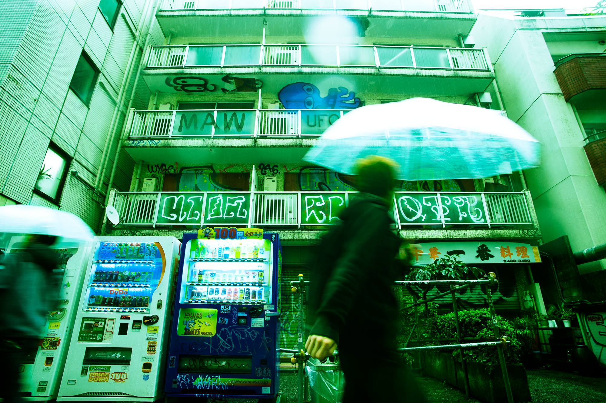 Tokyo, Fall 2017