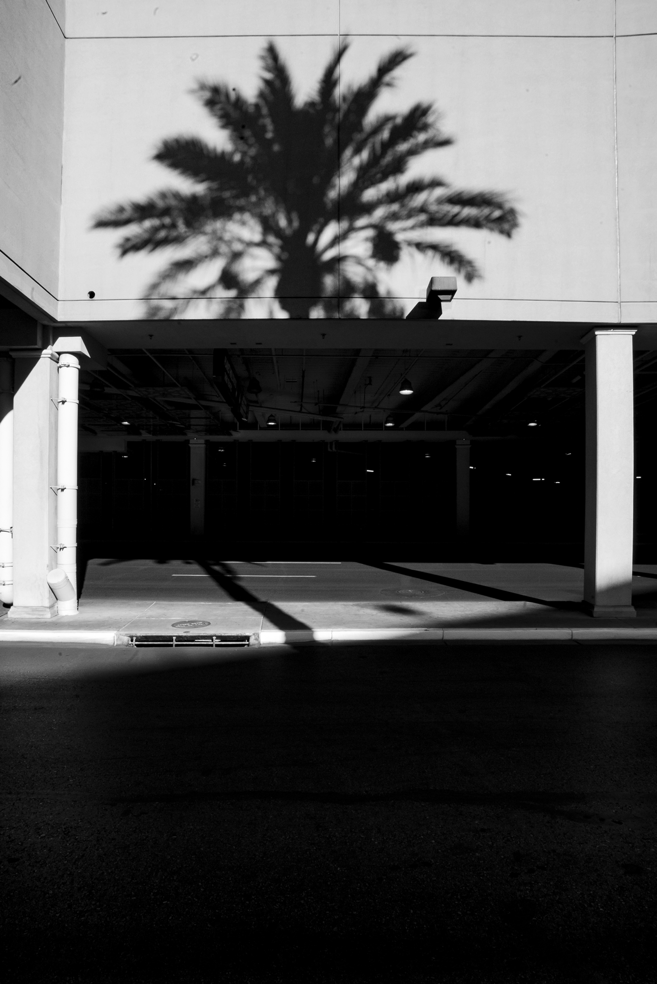 Las Vegas, Fall 2018
