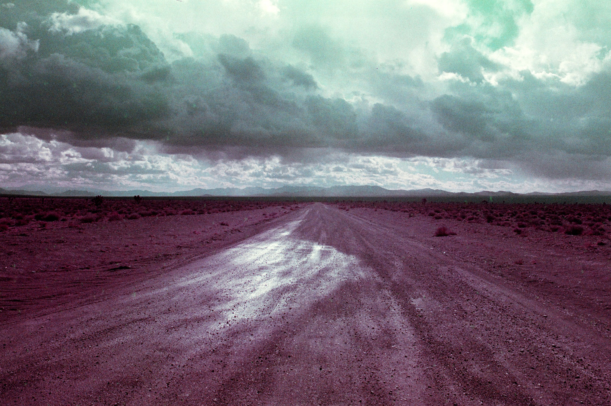 Unnamed Road near Groom Lake