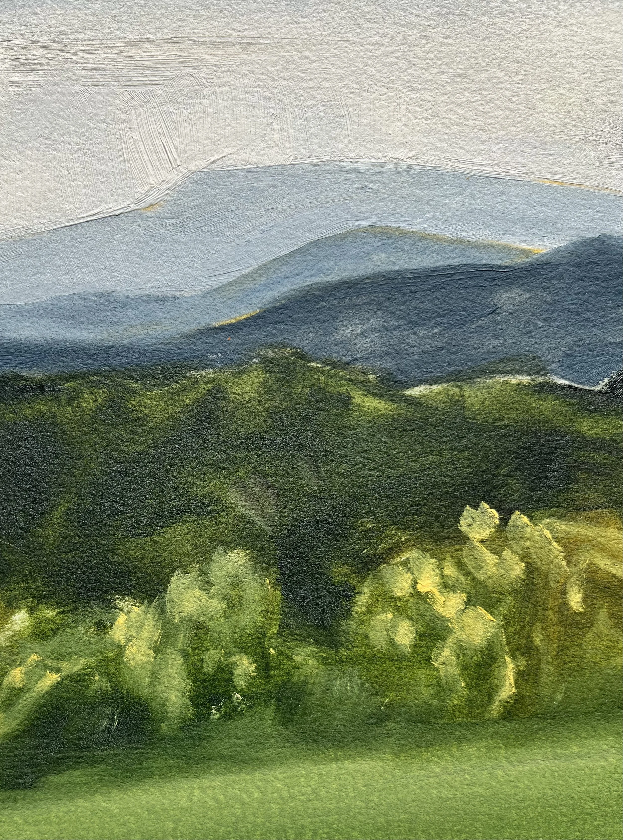 Blue Ridge Hour 1_Detail 2.jpeg