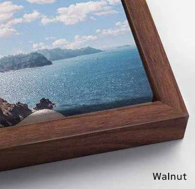Canvas Frame_Walnut.jpg (Copy)