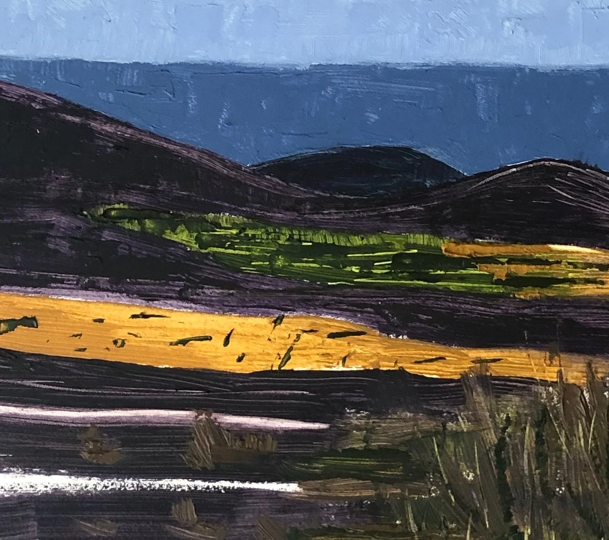 View from Kitchen Detail 2.jpeg