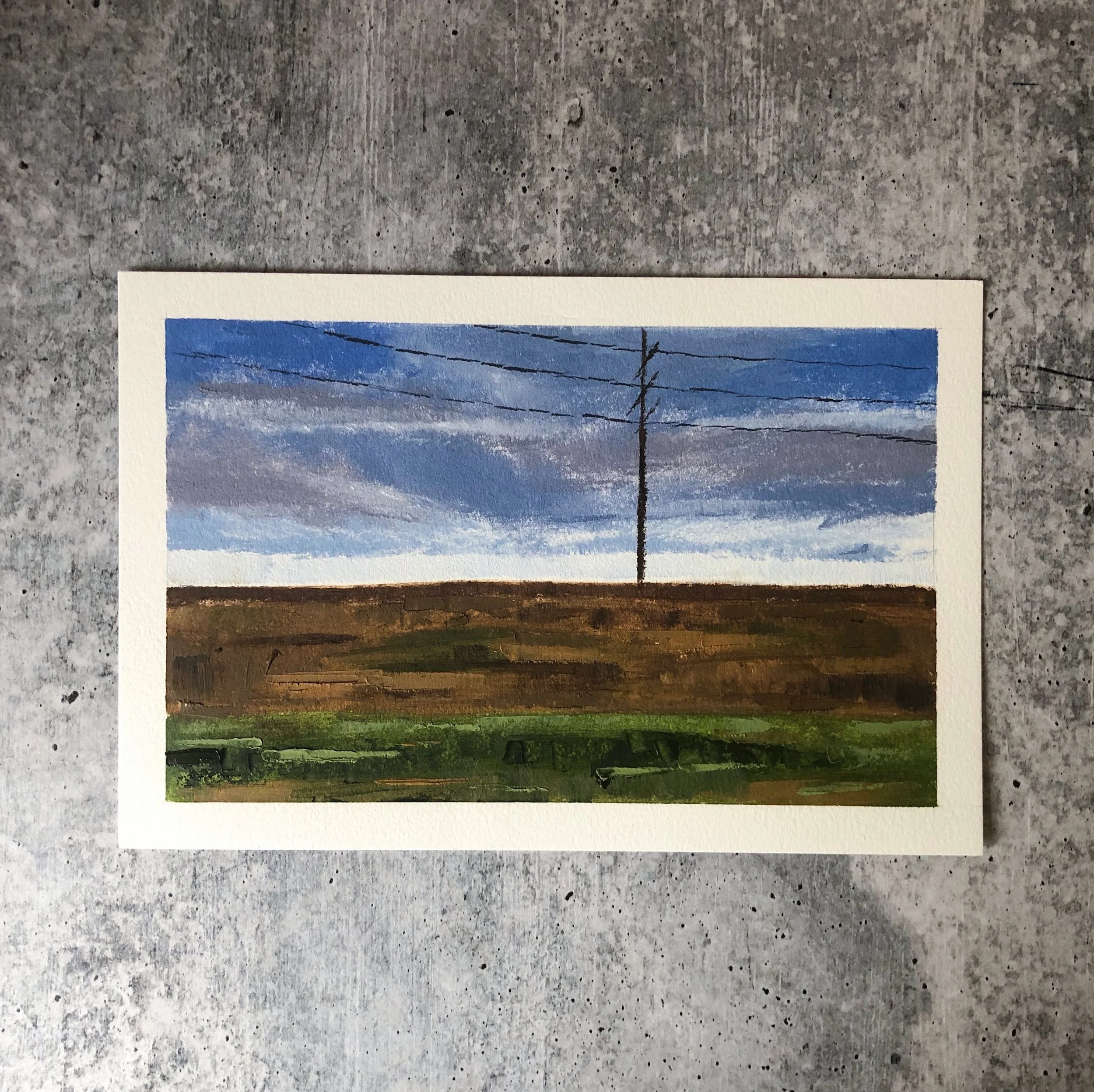 PA Roadside Study 1.jpeg