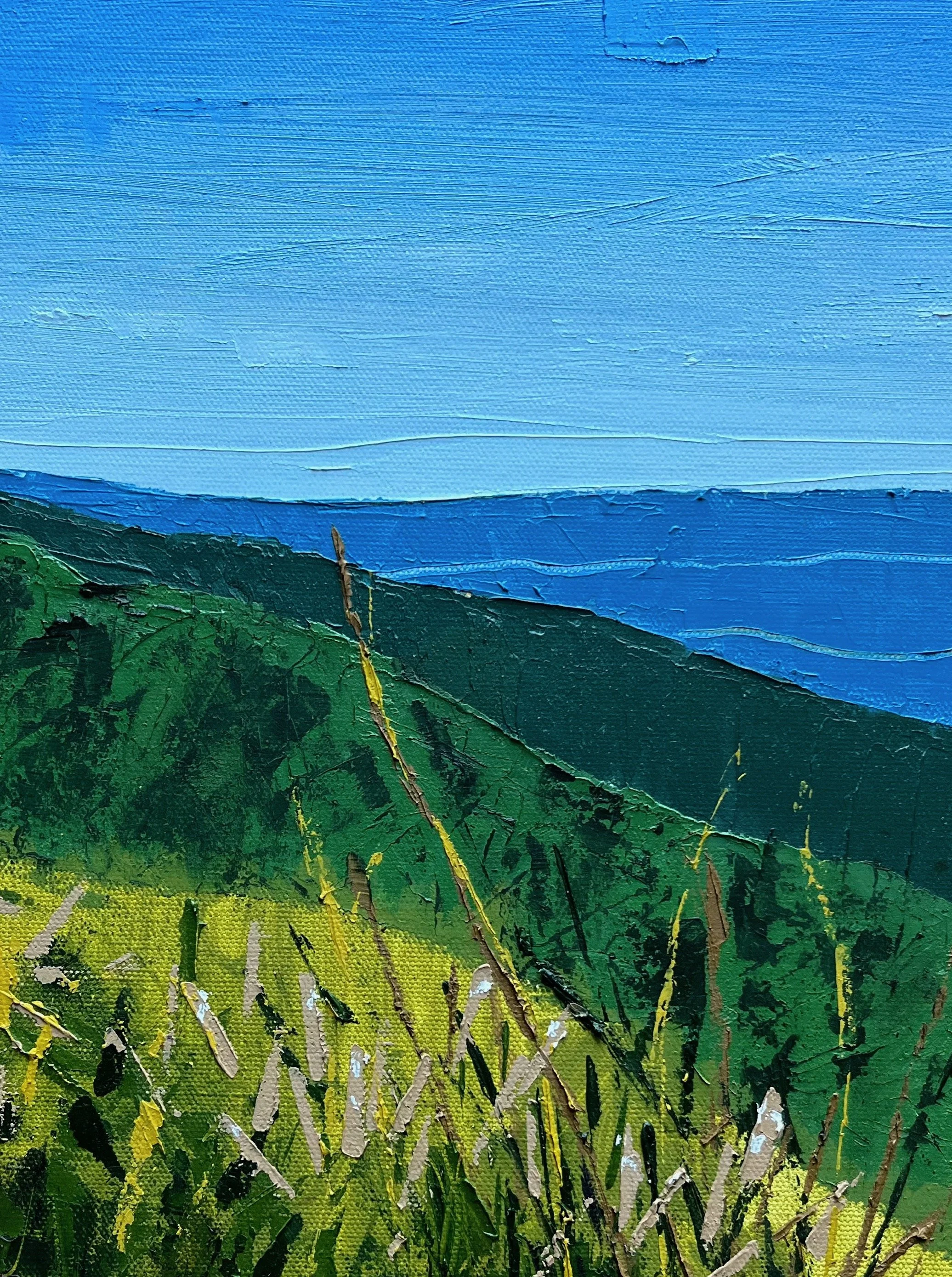 Shenandoah_Detail 2.jpeg