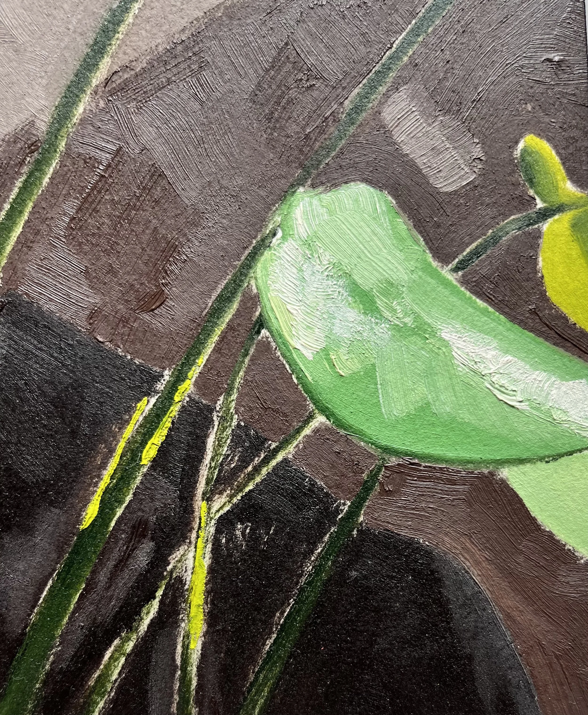 Monstera Study_Detail 4.jpeg