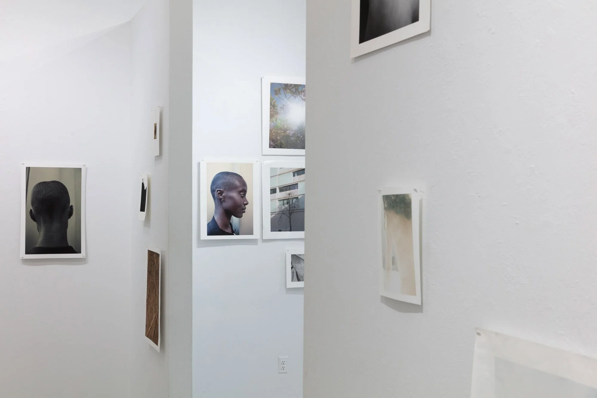 Orpheus Descending, installation view, from the series, In the House of Shadows, 2019