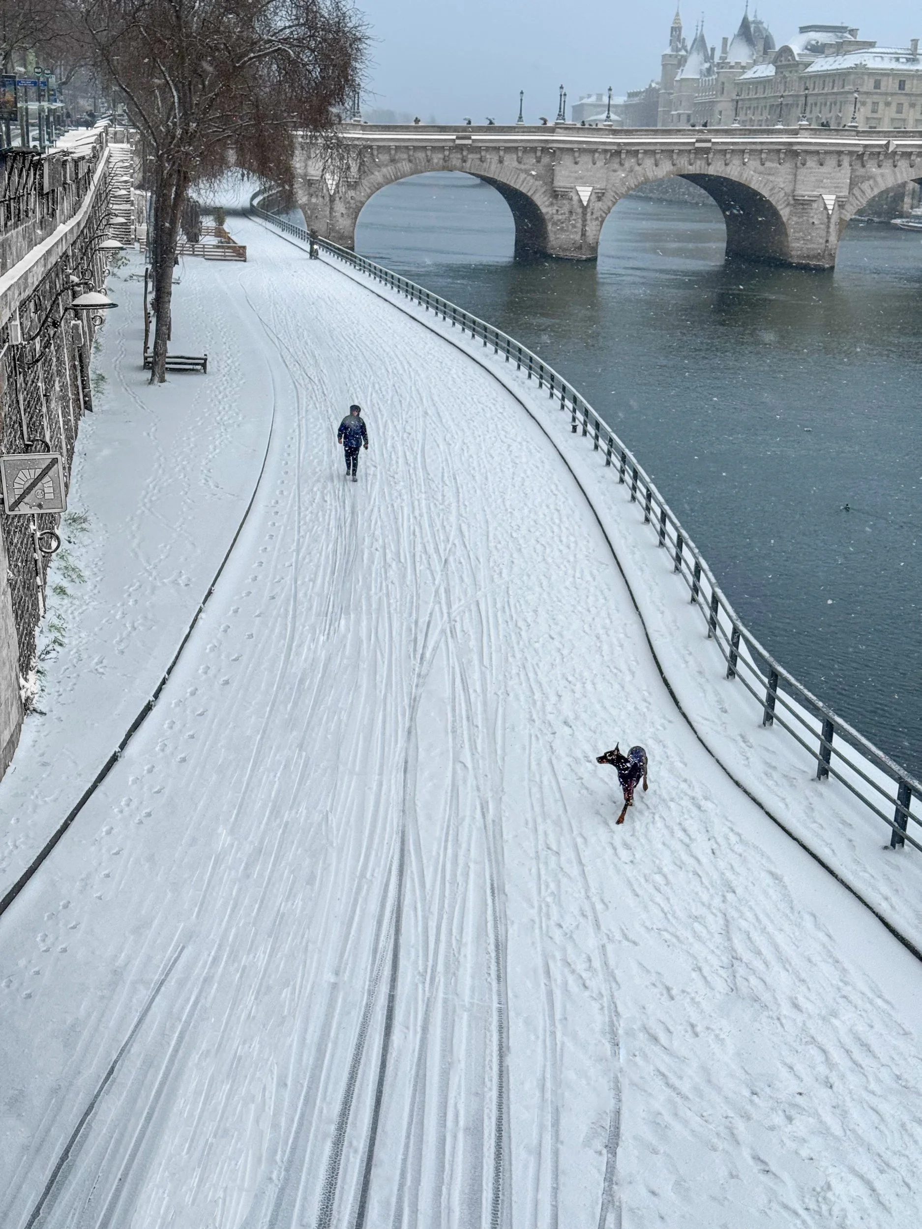  A man and his dog, sur les quais devant le Pont Neuf, January 2026 