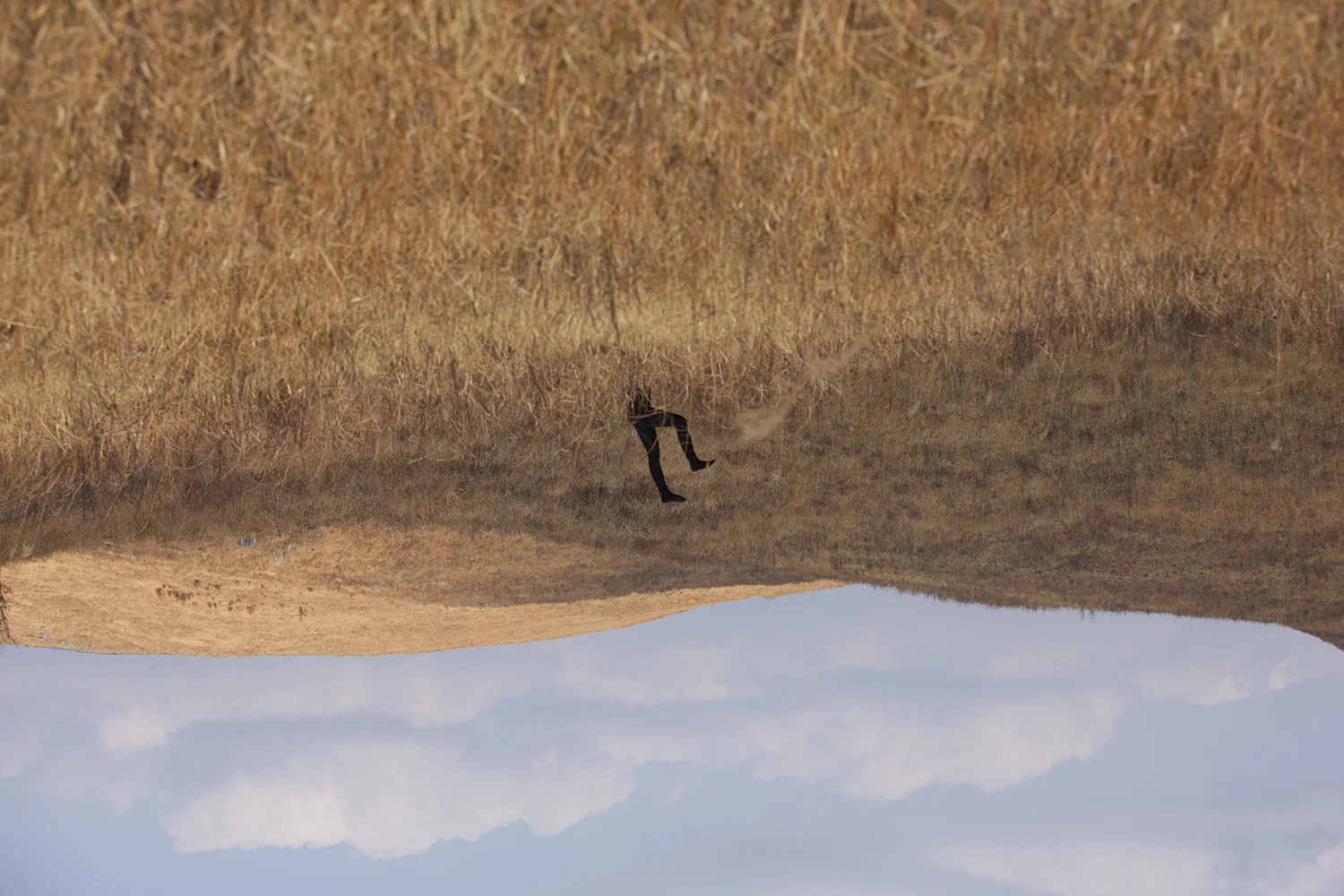  Still image #1 