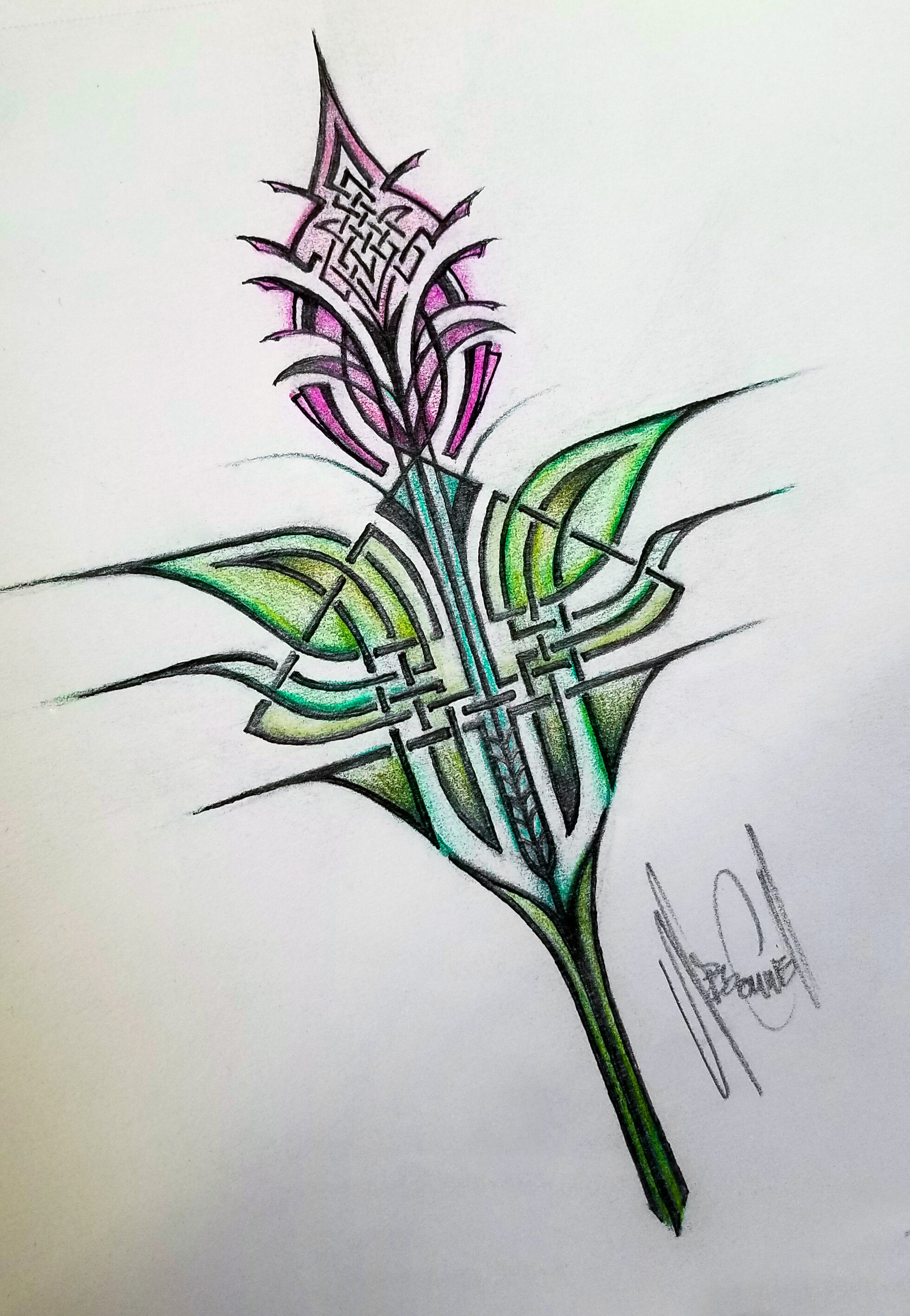 Celtic Thistle by Wes Connell