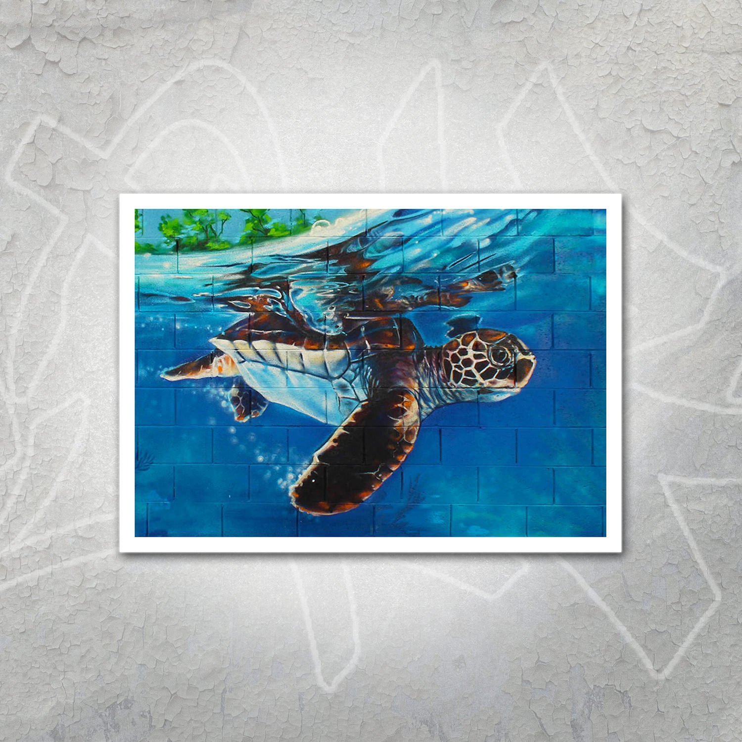 Turtle Post(er)card
