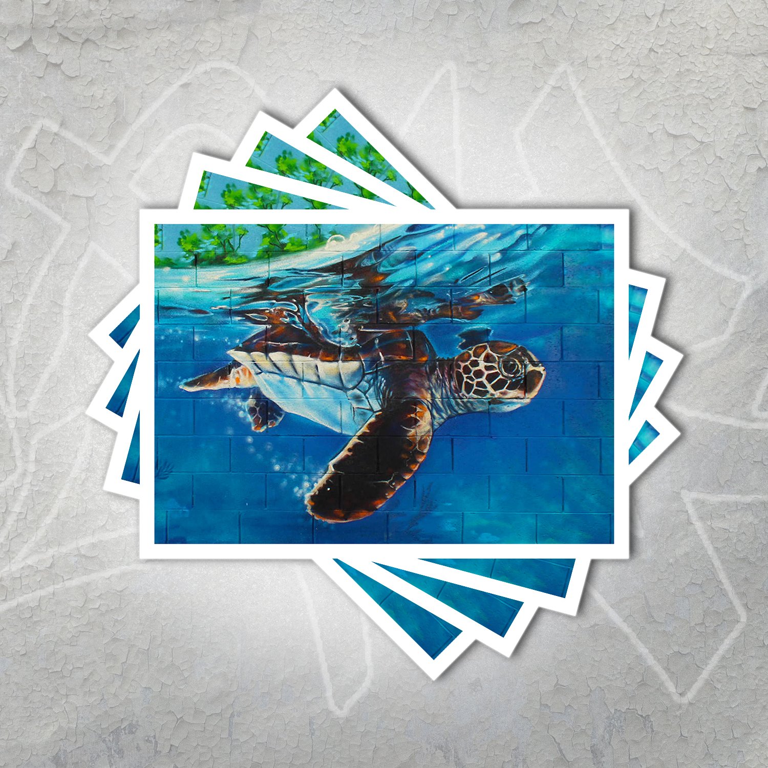 turtle-CP-STORE.jpg