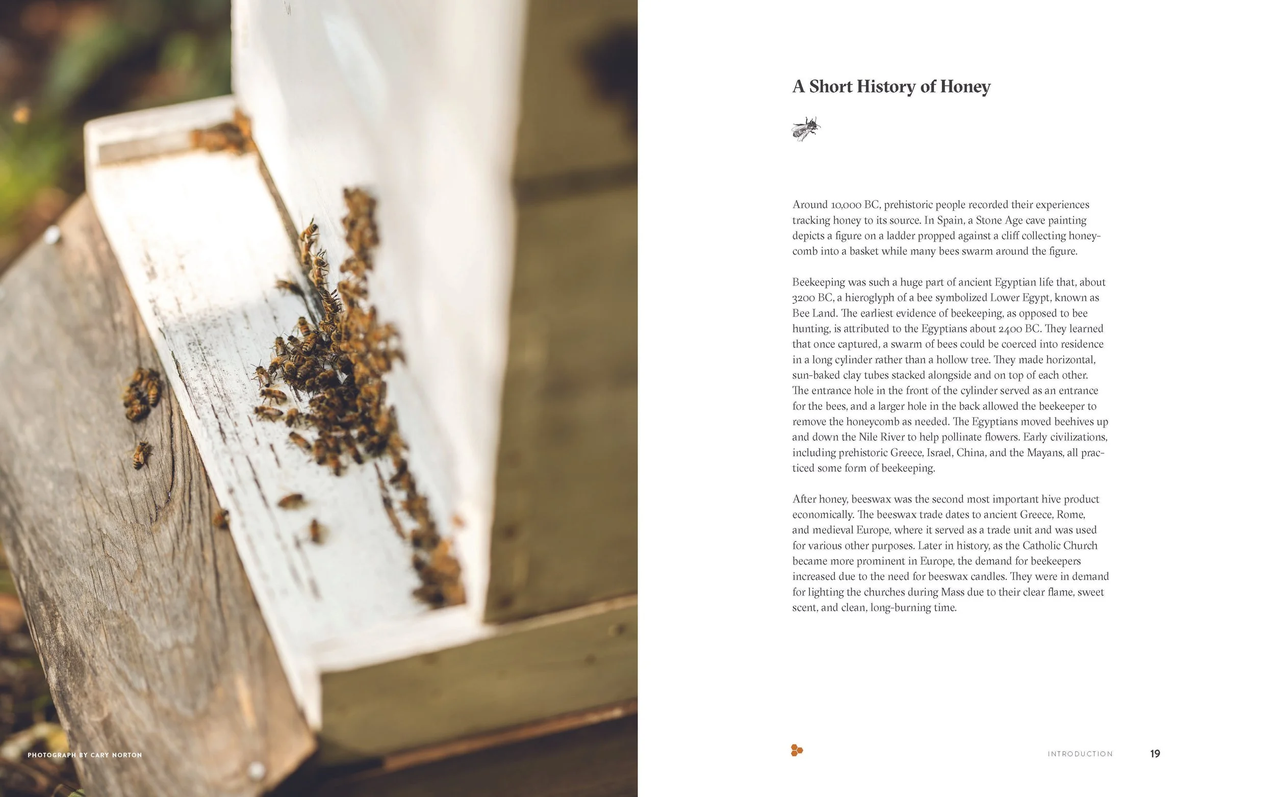 DancingBees_SelectSpreads_Page_04.jpg