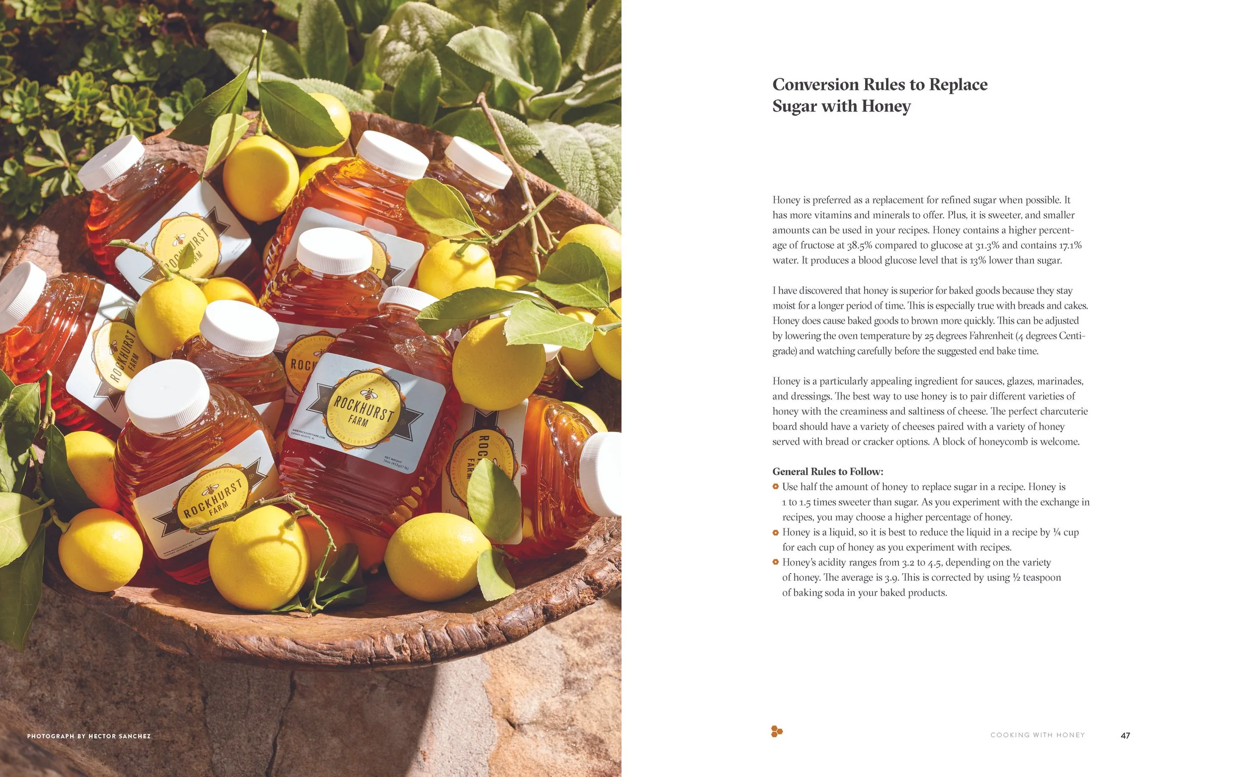 DancingBees_SelectSpreads_Page_06.jpg