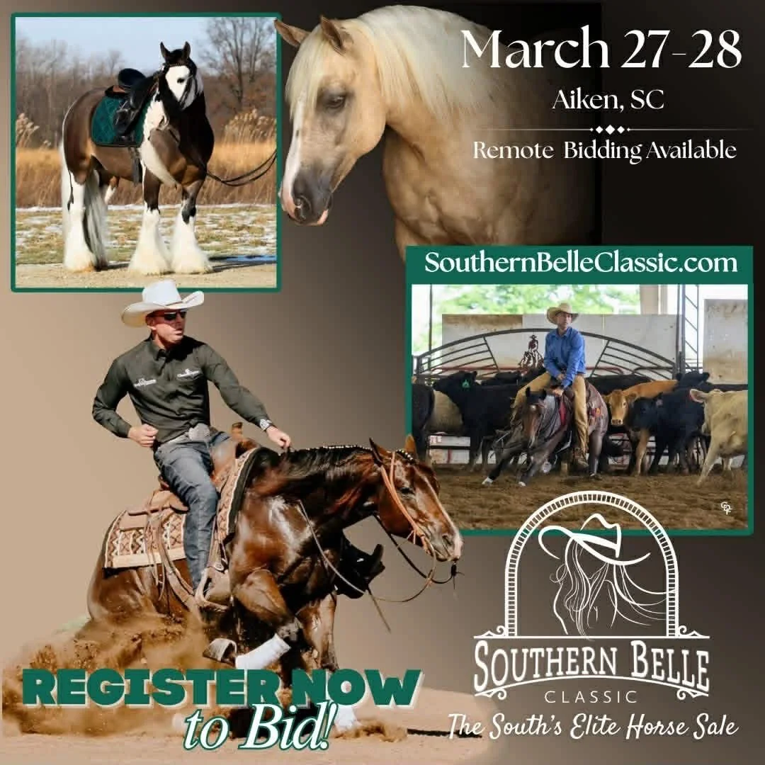 southern belle march 2026.jpg