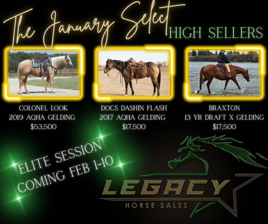 legacy jan 2026 HS.jpg