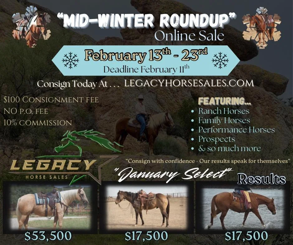 mid winter roundup.jpg