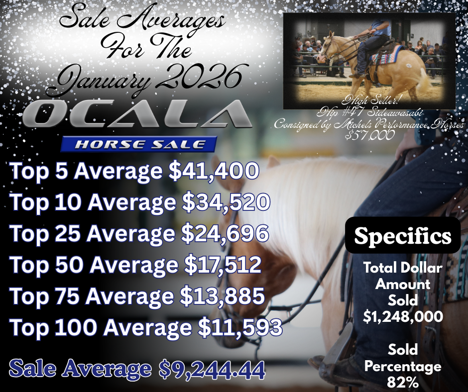 Sale Averages For The January 2026.png