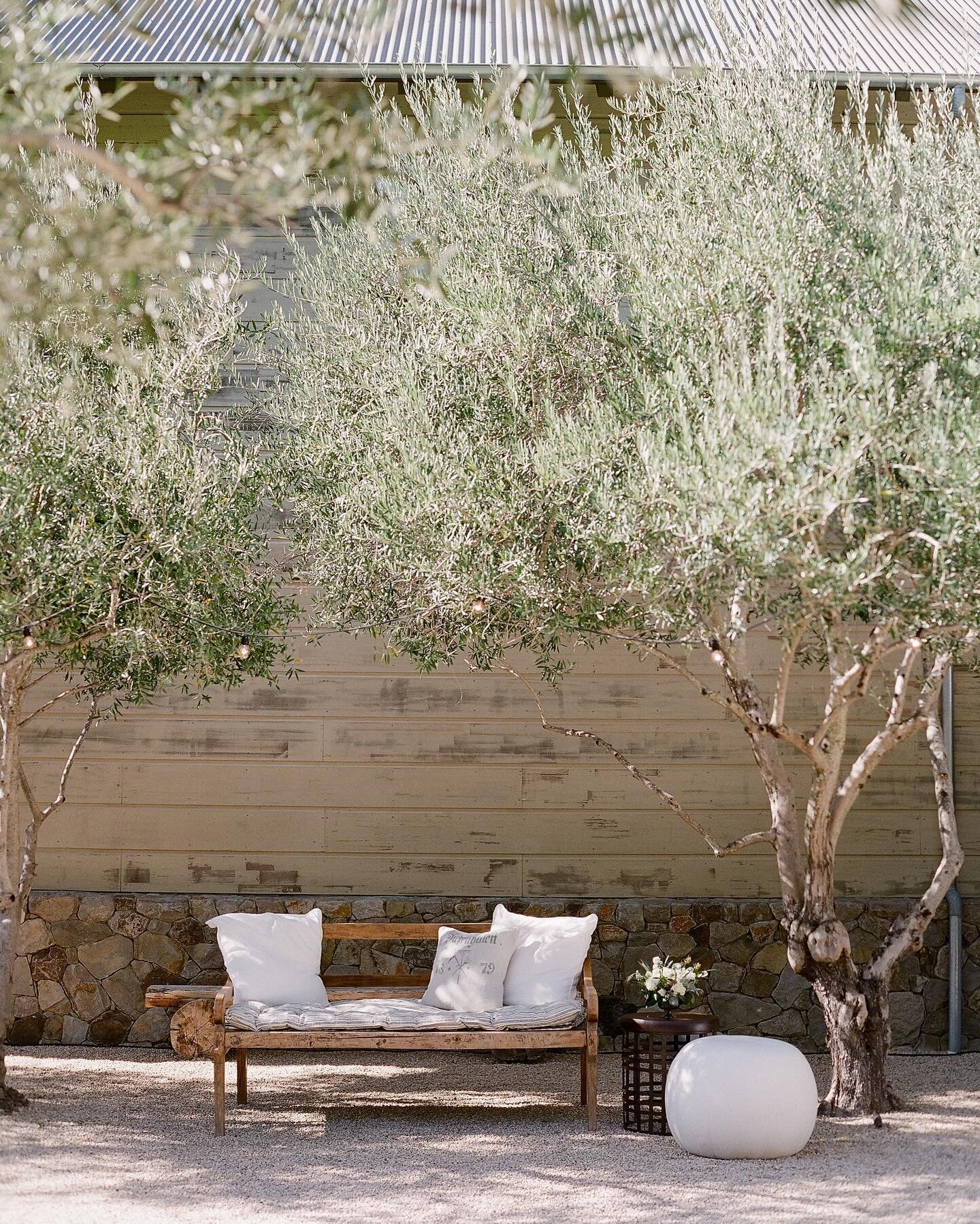 Thoughts on Simplicity this week&hellip;

#napavalleycelebrations #napaevents #napaeventdesigner #napaeventplanner #simplelounge #keepitsimple #simpleisbetter