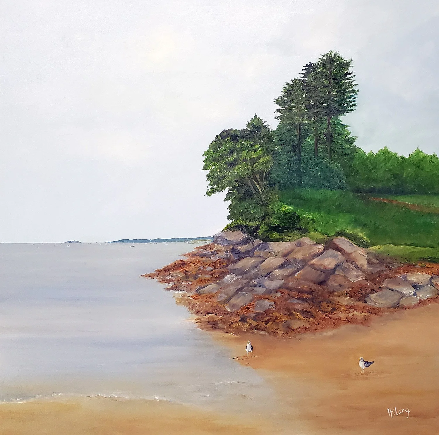 Macworth Island, ME 36x36
Oil (Not for sale)