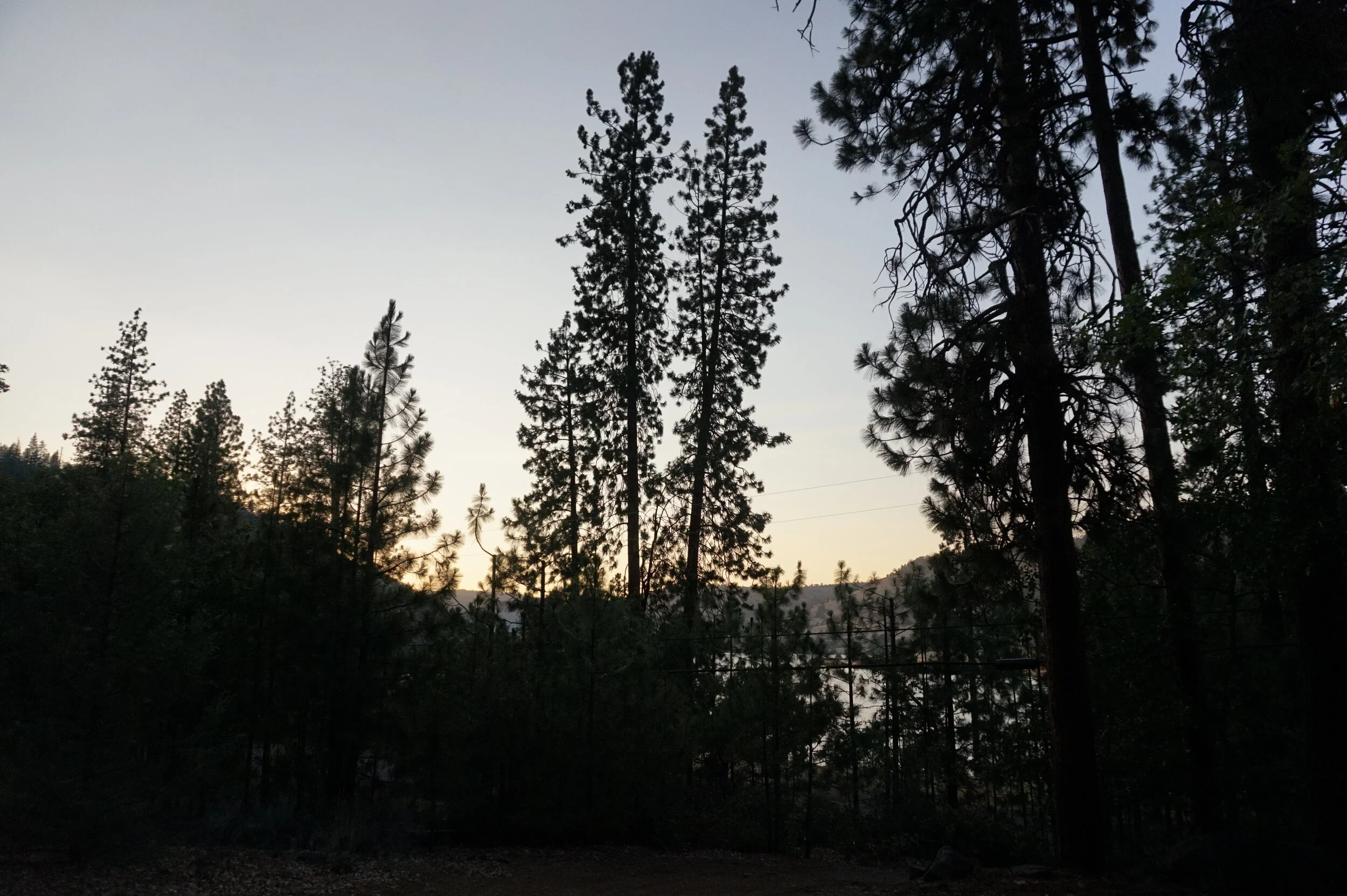 Weekly Musings I - Why?