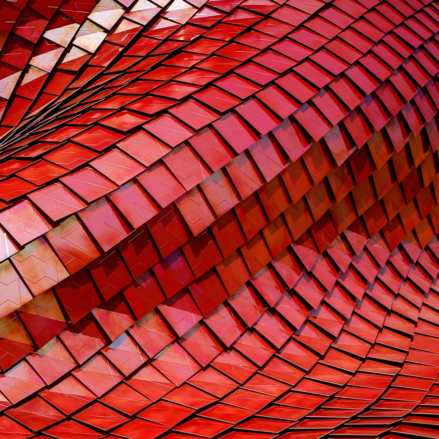 Editorial: Big Image Data as research opportunity