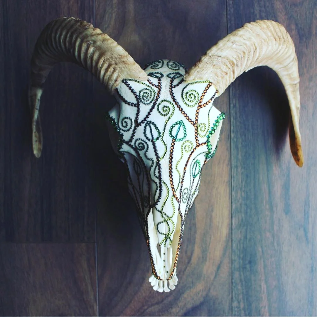 Forest Ram Skull