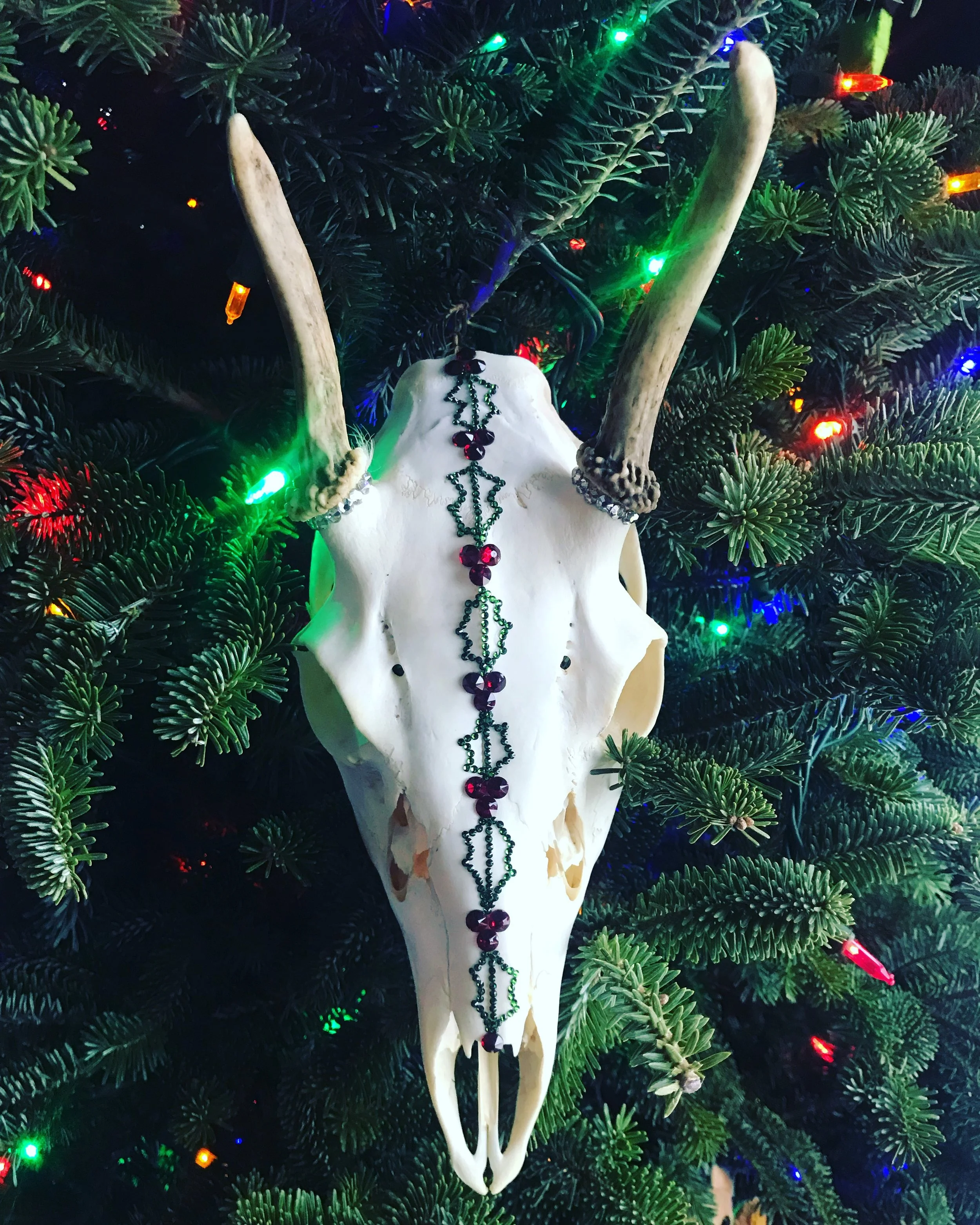 Holly Buck