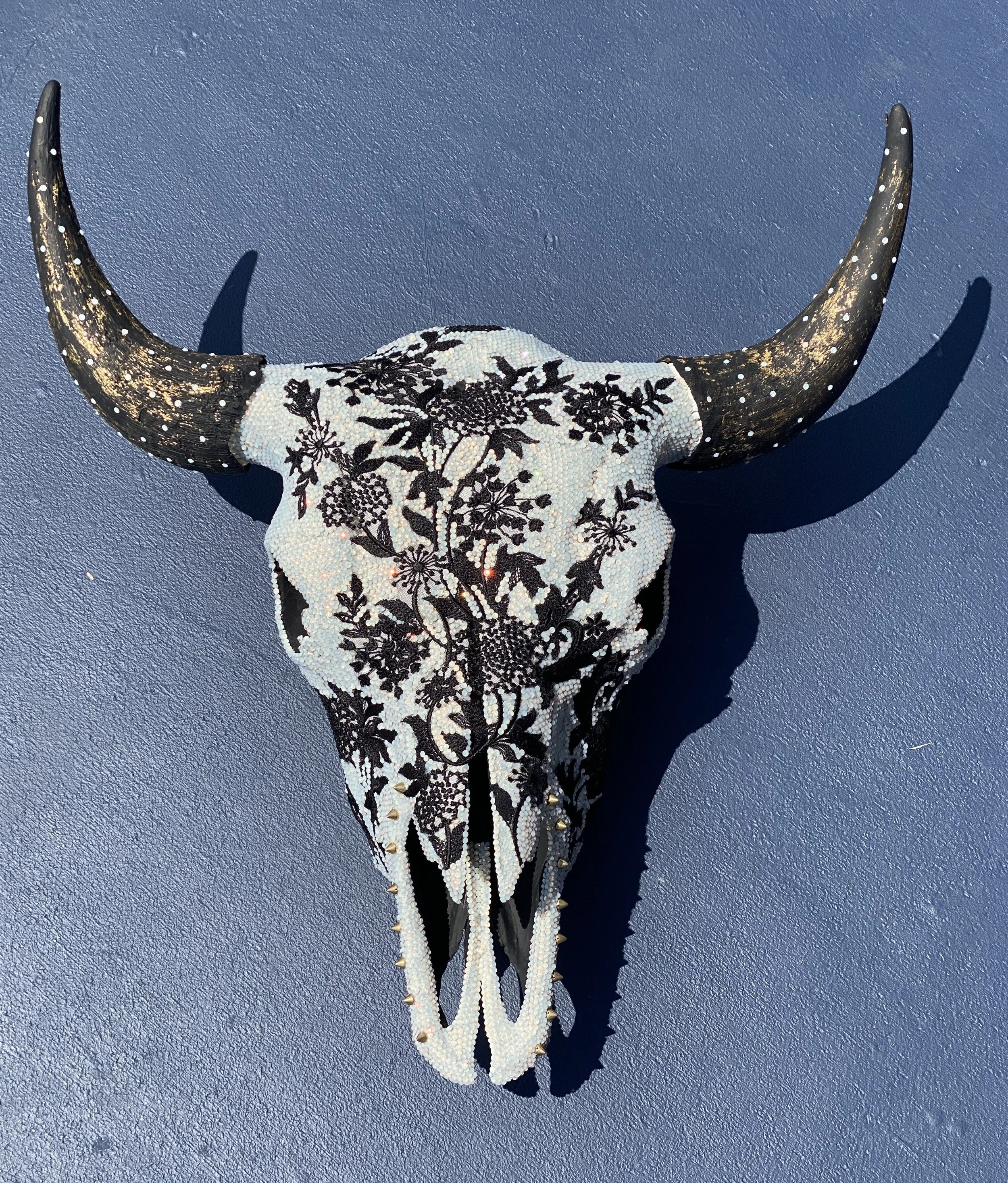 Black and White Bison