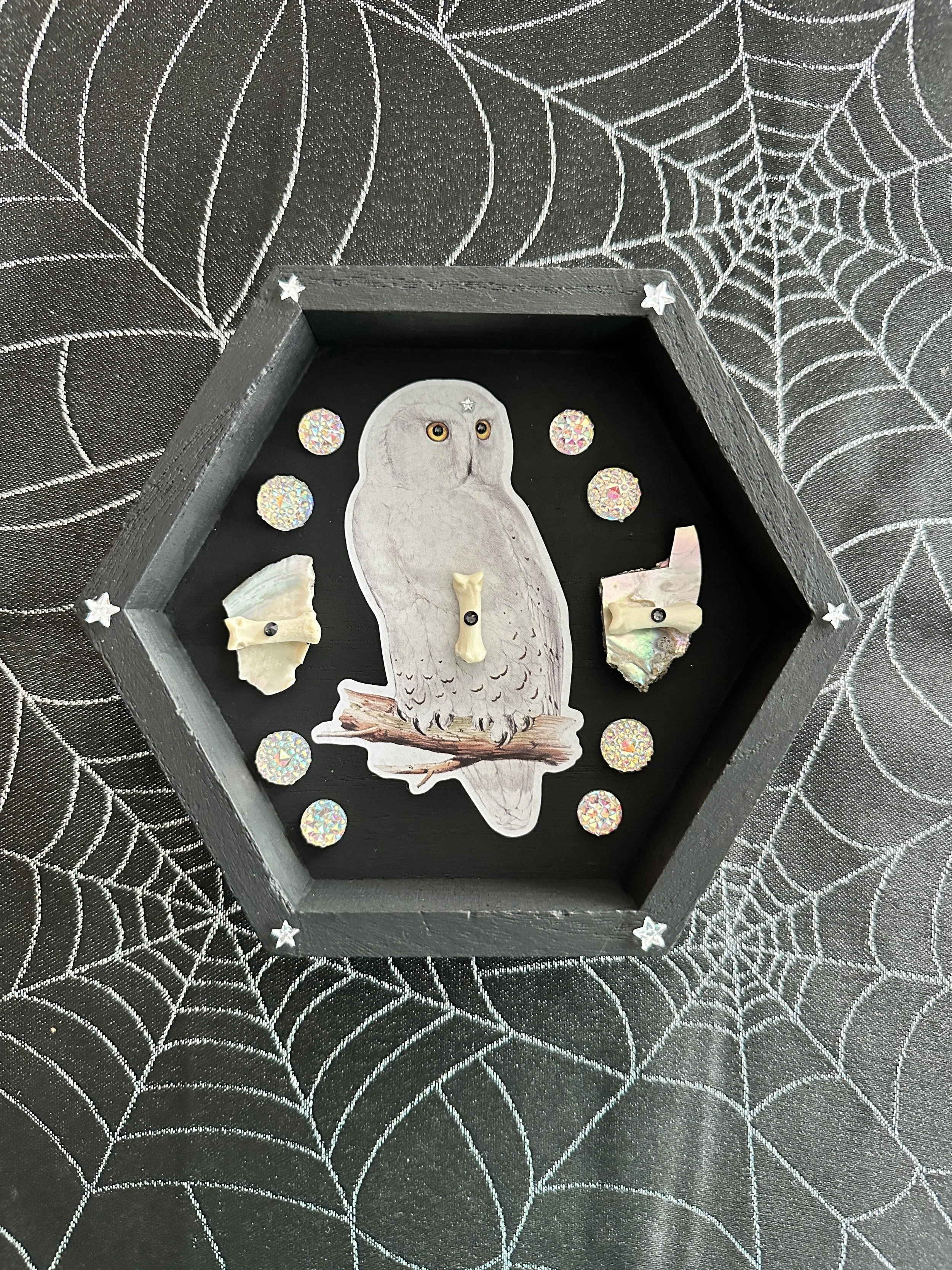 Snowy Owl Shadowbox