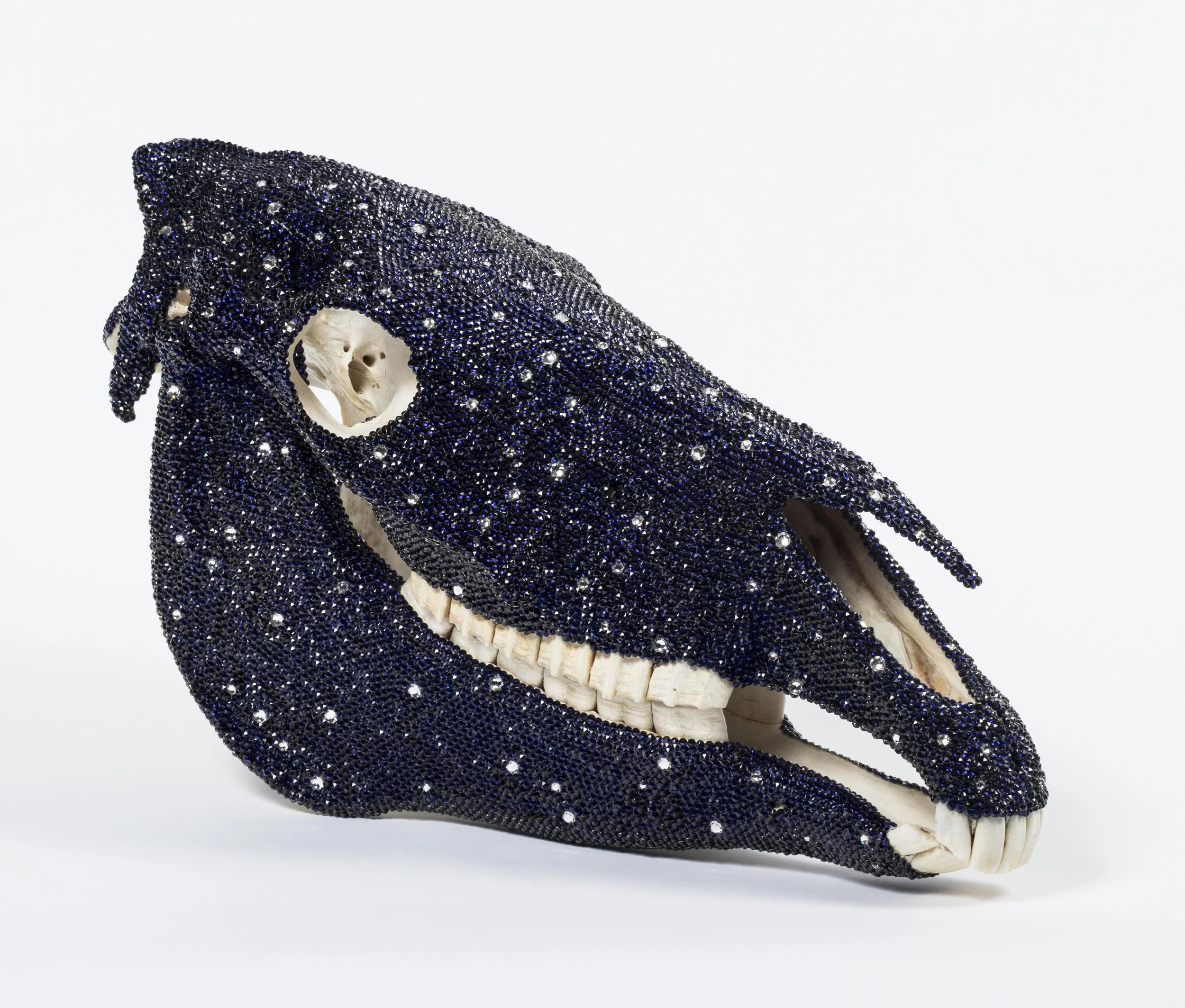 Quinn_Midnight_22x8x13_submission1(3) .jpeg