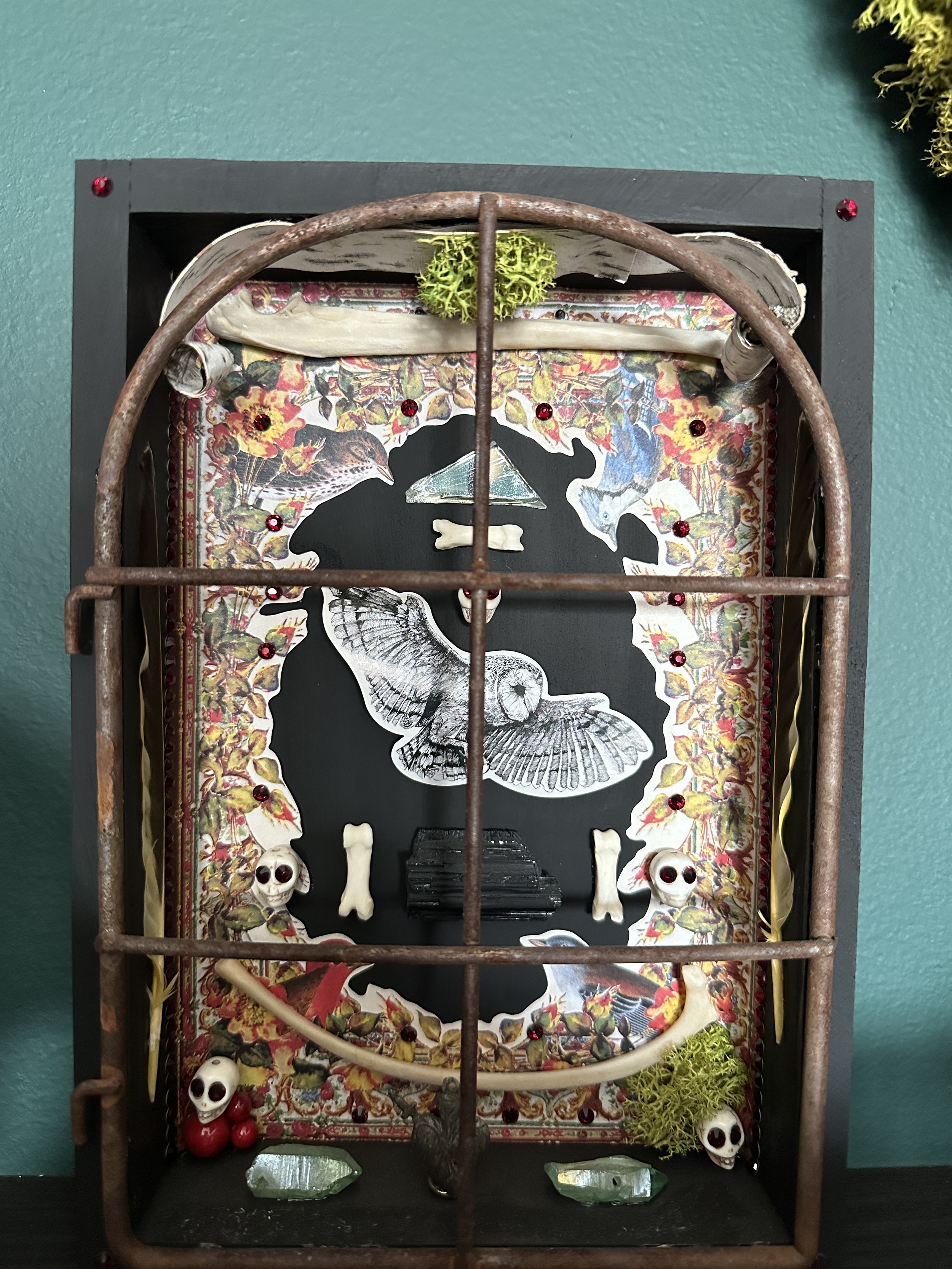 Peek into the Witches Garden