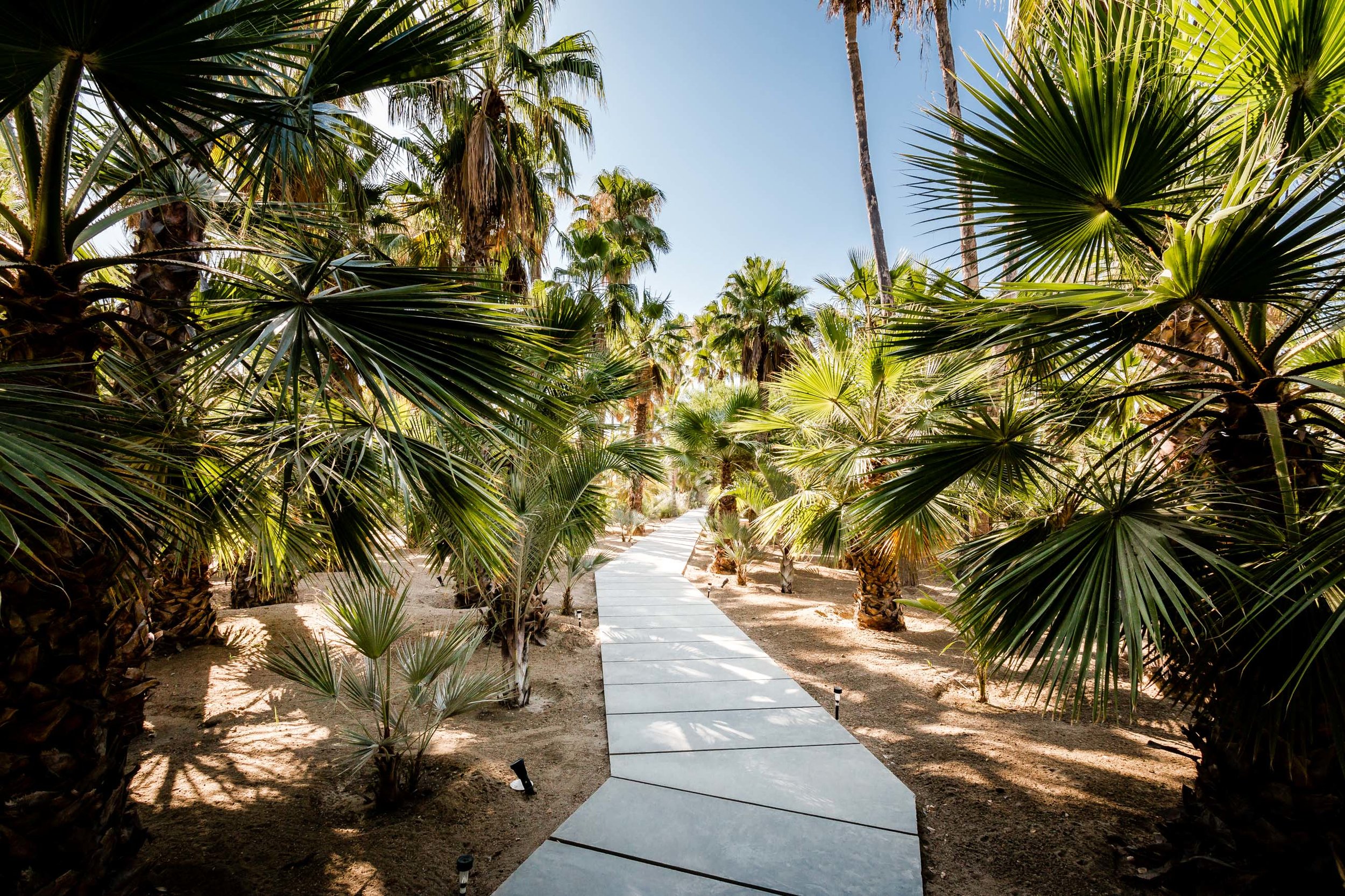 acre path.jpg