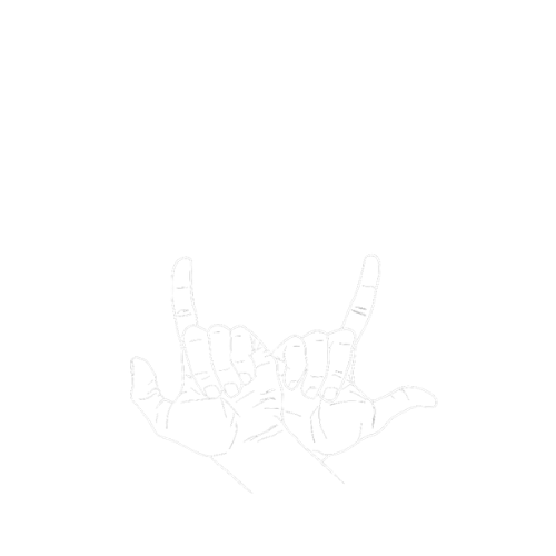 The Jesse Lees