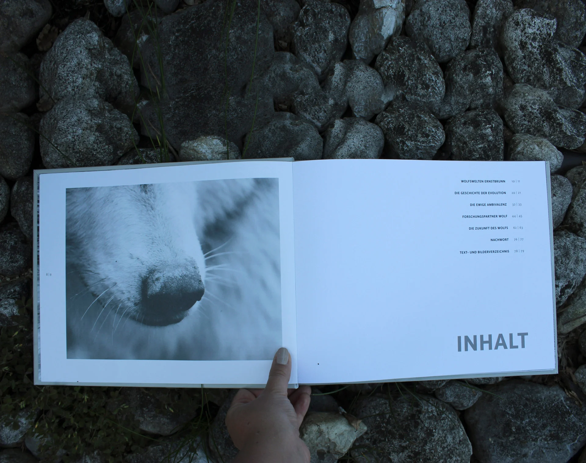 89-inhalt.jpg