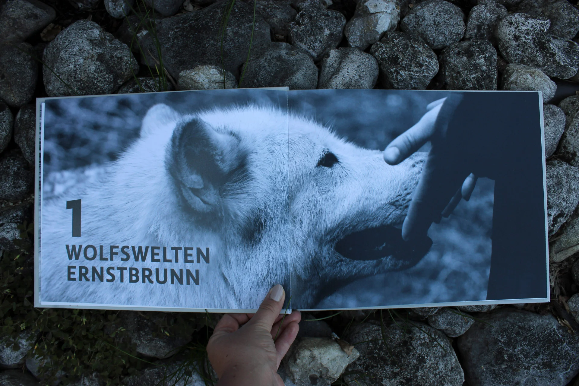 trennblatt1.jpg