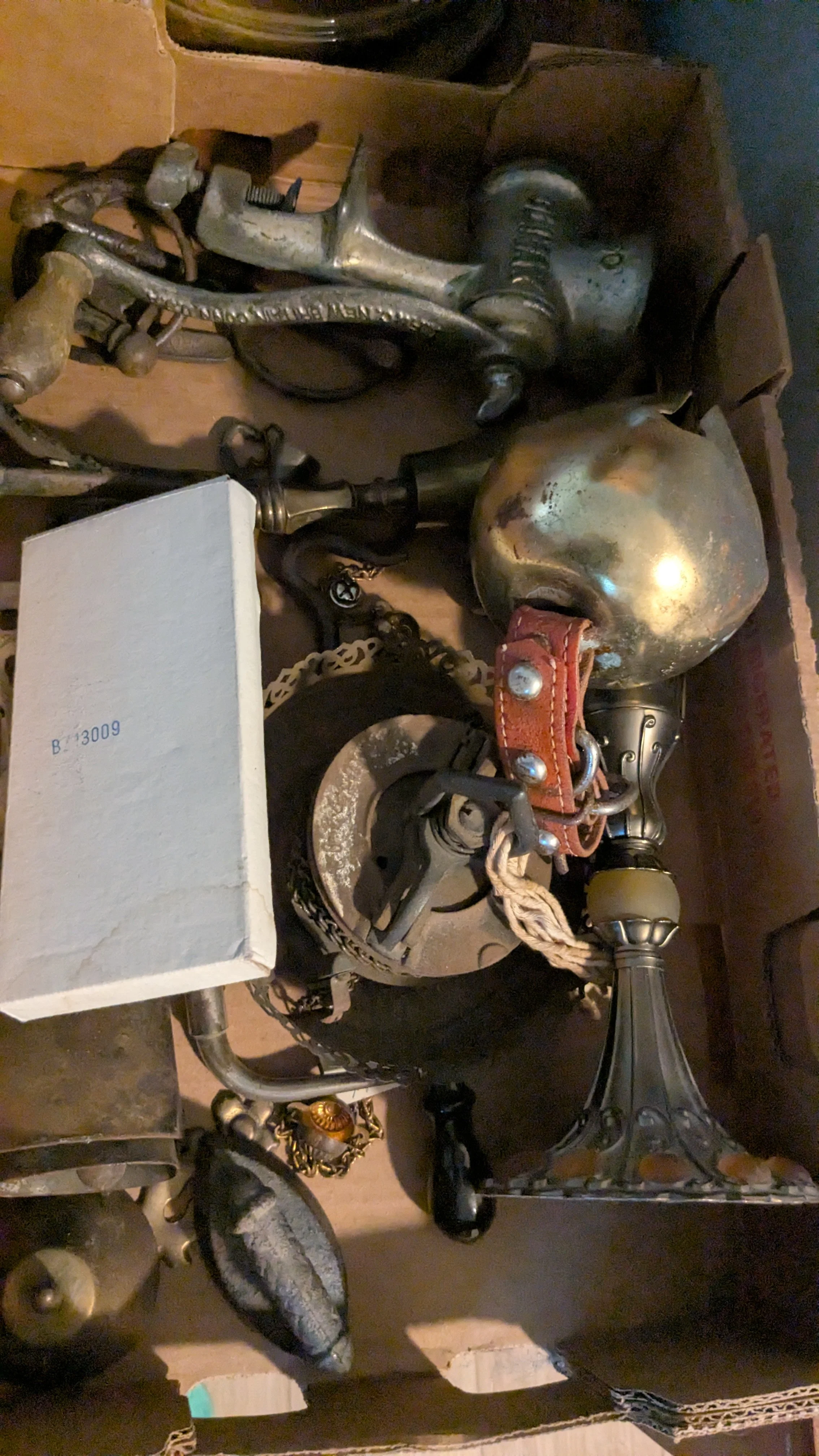 PXL_20250811_164037870.jpg