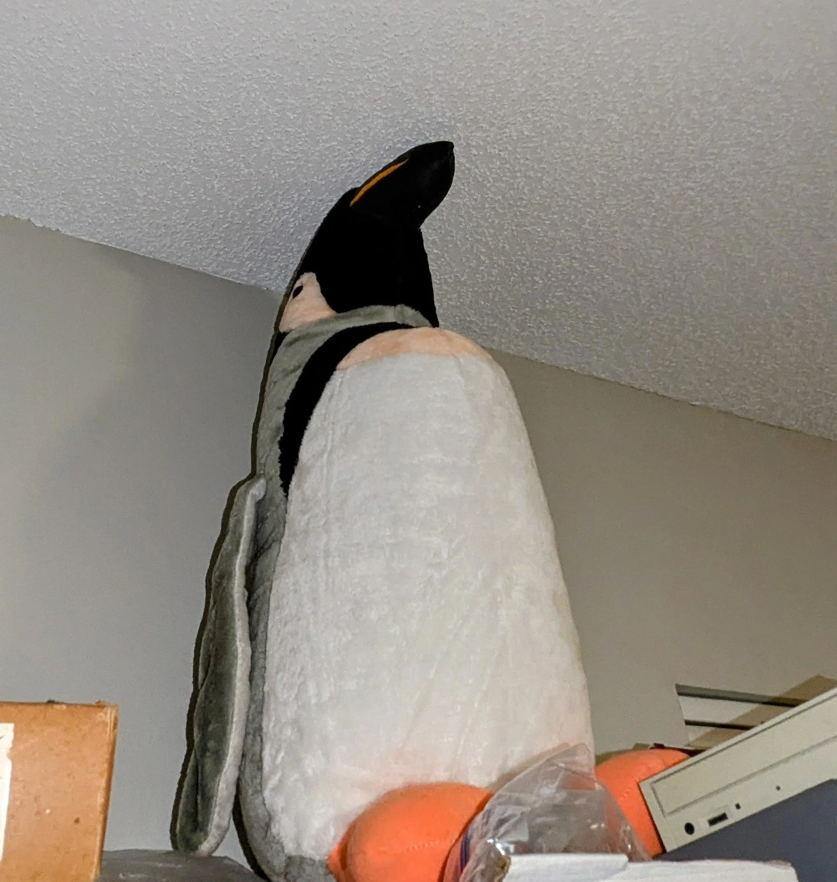 PXL_20250818_181233332~2.jpg