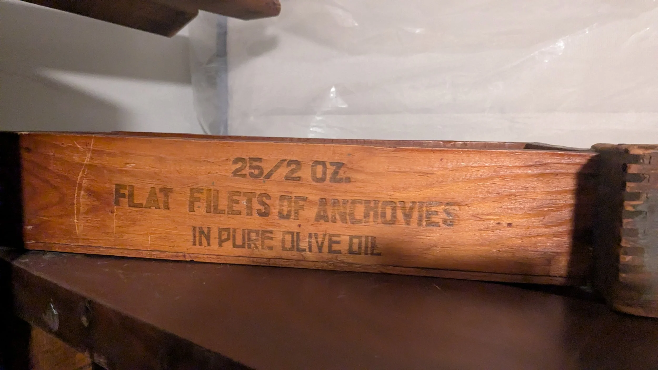 PXL_20250902_170356487.jpg