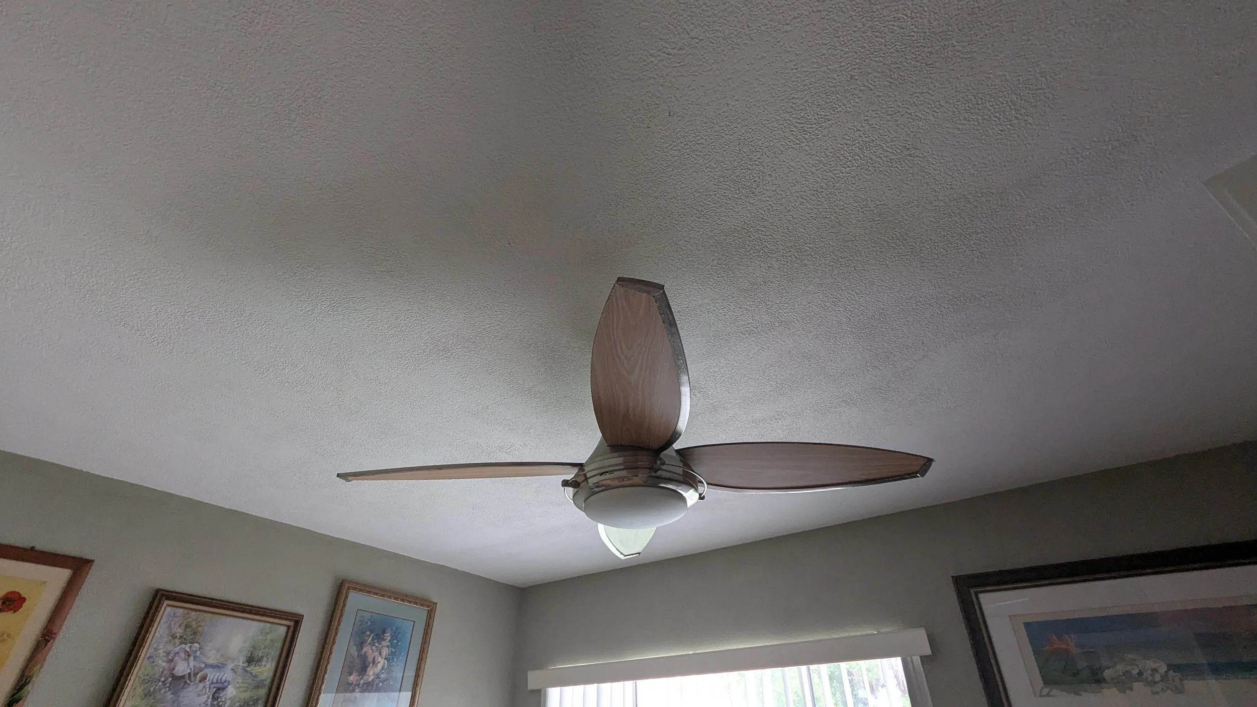 PXL_20260727_175552478.jpg