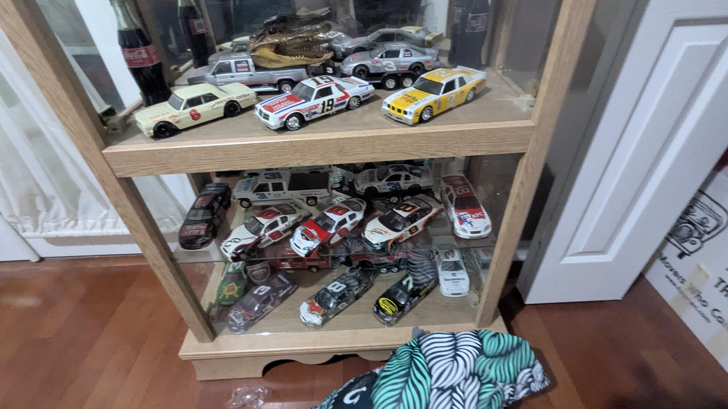 PXL_20260915_155438424.jpg