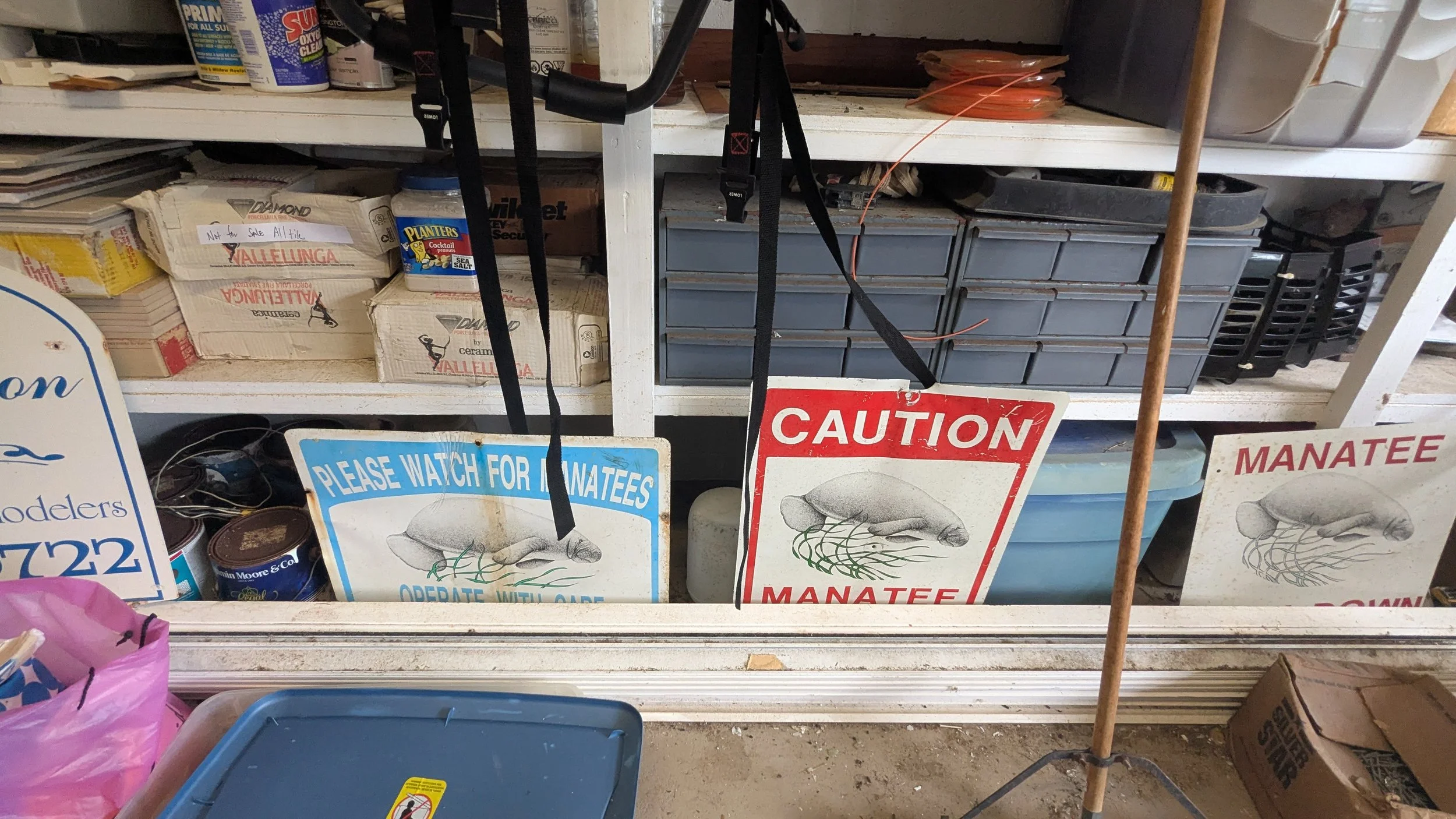 PXL_20260916_172644139.jpg