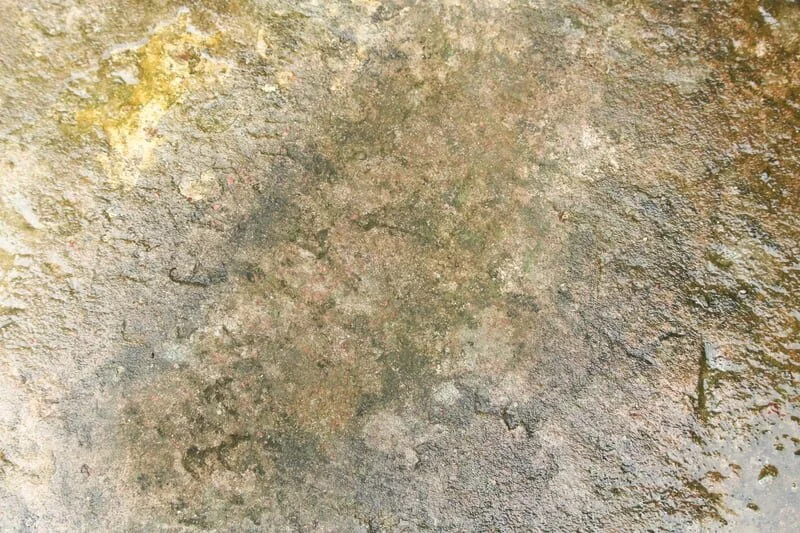 If you just looked up 'Concrete slab design near me', check out Exposed Design Group