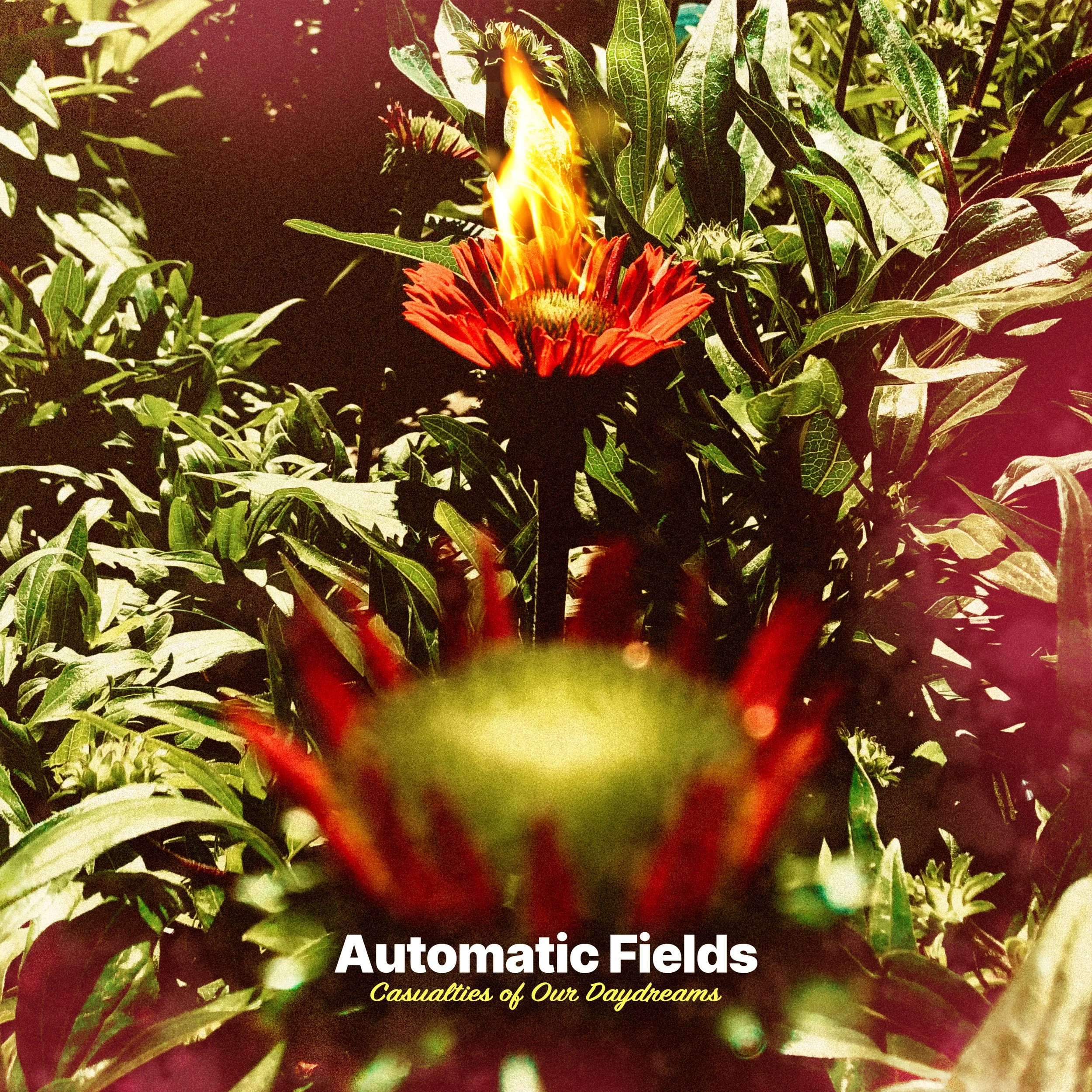 Automatic Fields “Casualties of Our Daydreams”