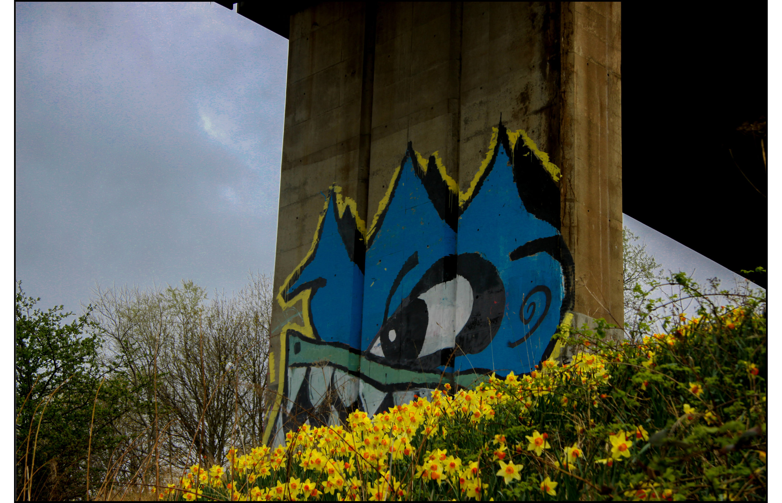 Newcastle Daffodils Graffitti-2.jpg
