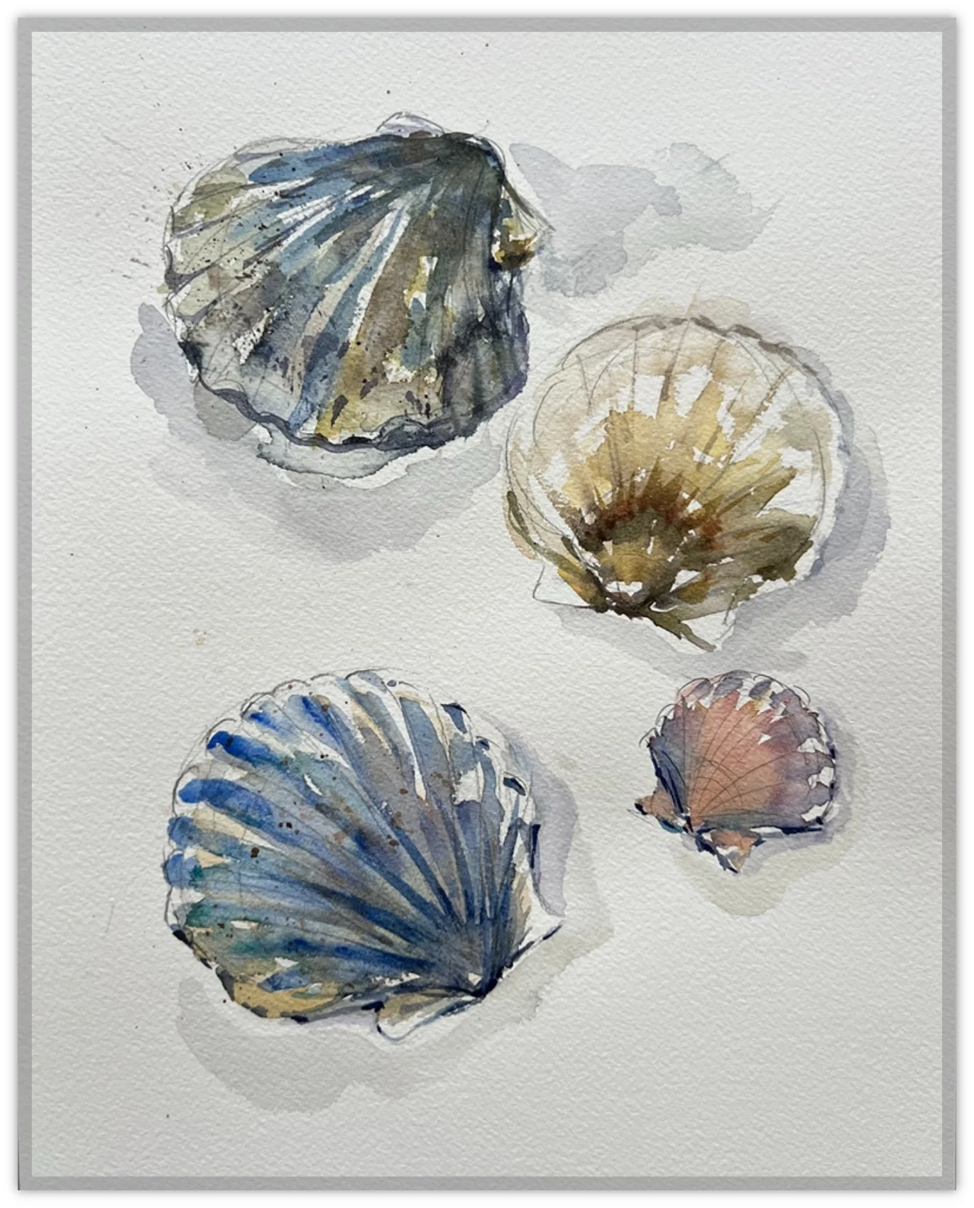 ScallopShells_8x10.jpeg