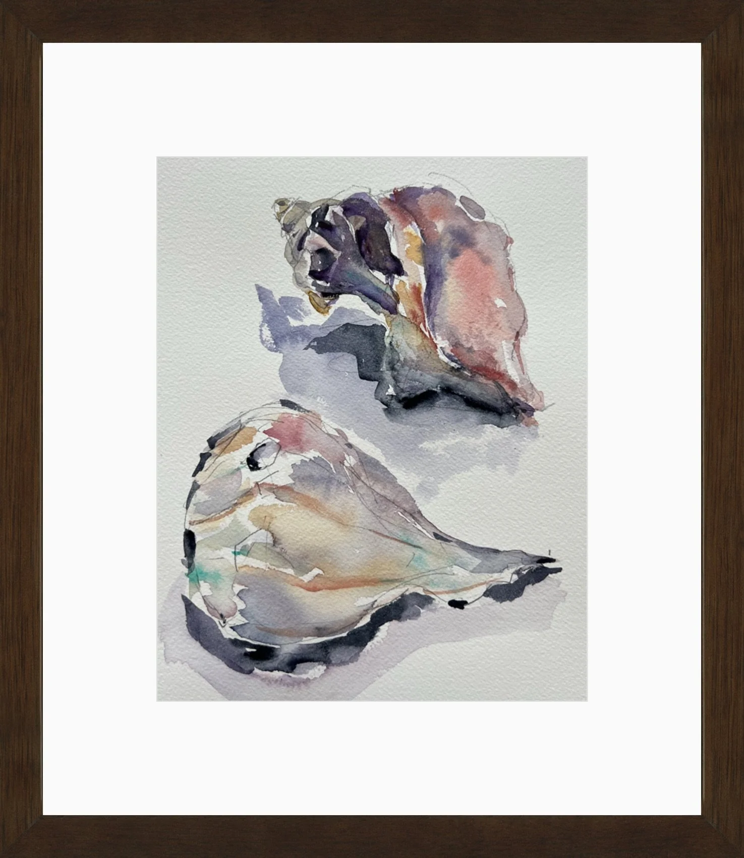 Knobbed Whelks CoolPastels 8x10 Mat Frame.jpeg