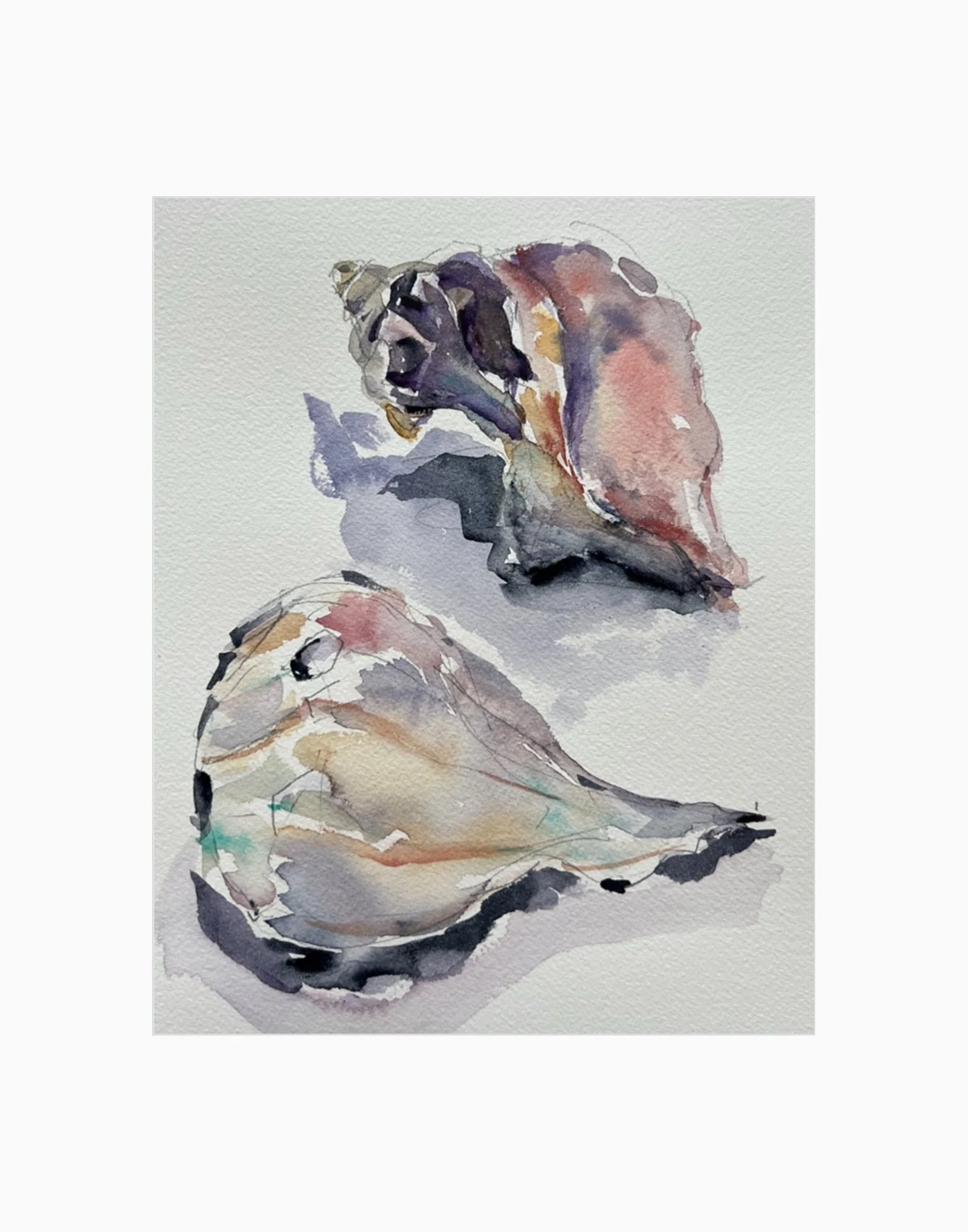 Knobbed Whelks CoolPastels 8x10 White Mat.jpeg