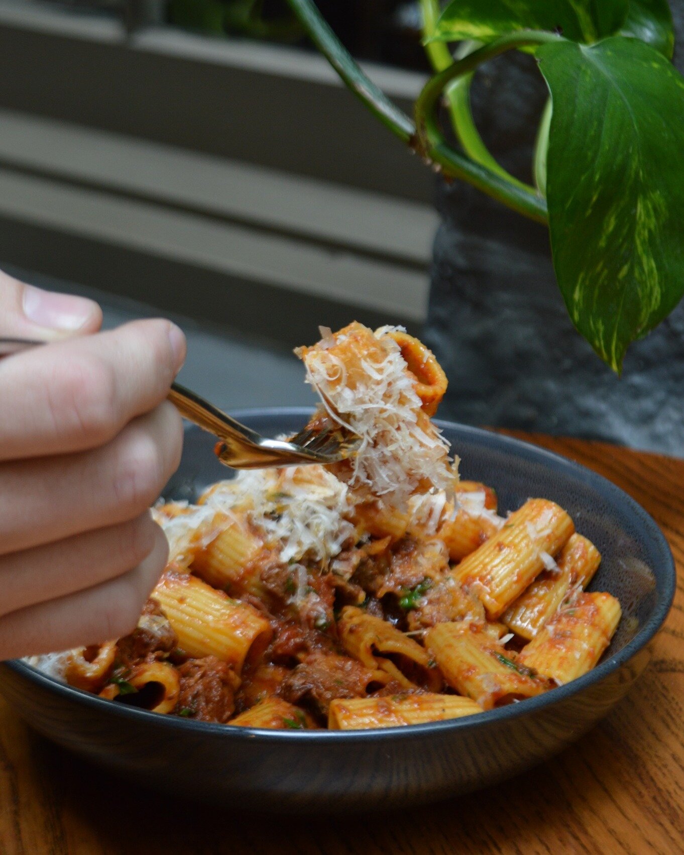 ☀️ Escape this miserable weather...

...and fill up on Chef's famous rigatoni ragu, in the style of slow braised lamb. DELICIOUS!🍷

✨ OPEN | 12 - LATE